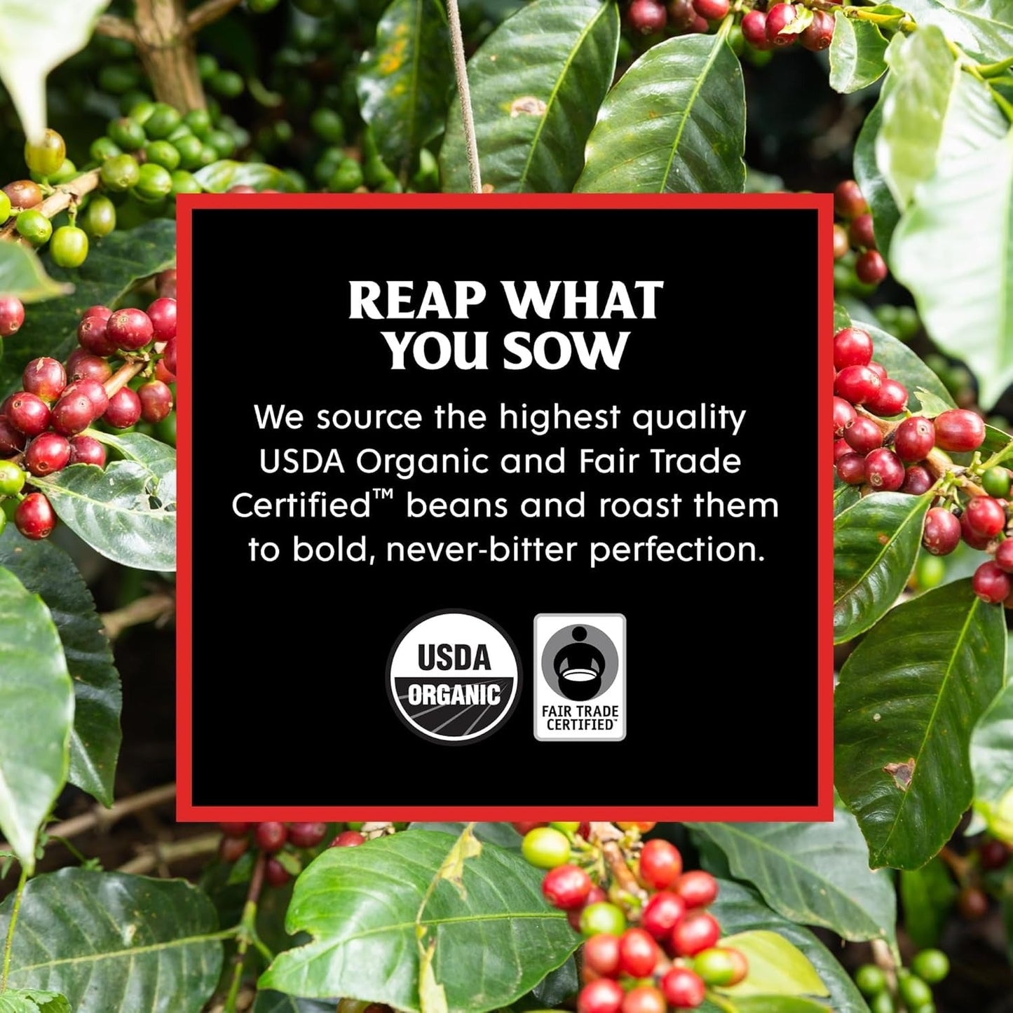 Dark Roast + Espresso Roast Single-Serve Pod Bundle